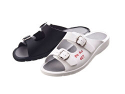 Modell 407