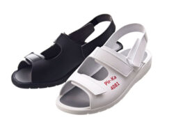 Modell 4081